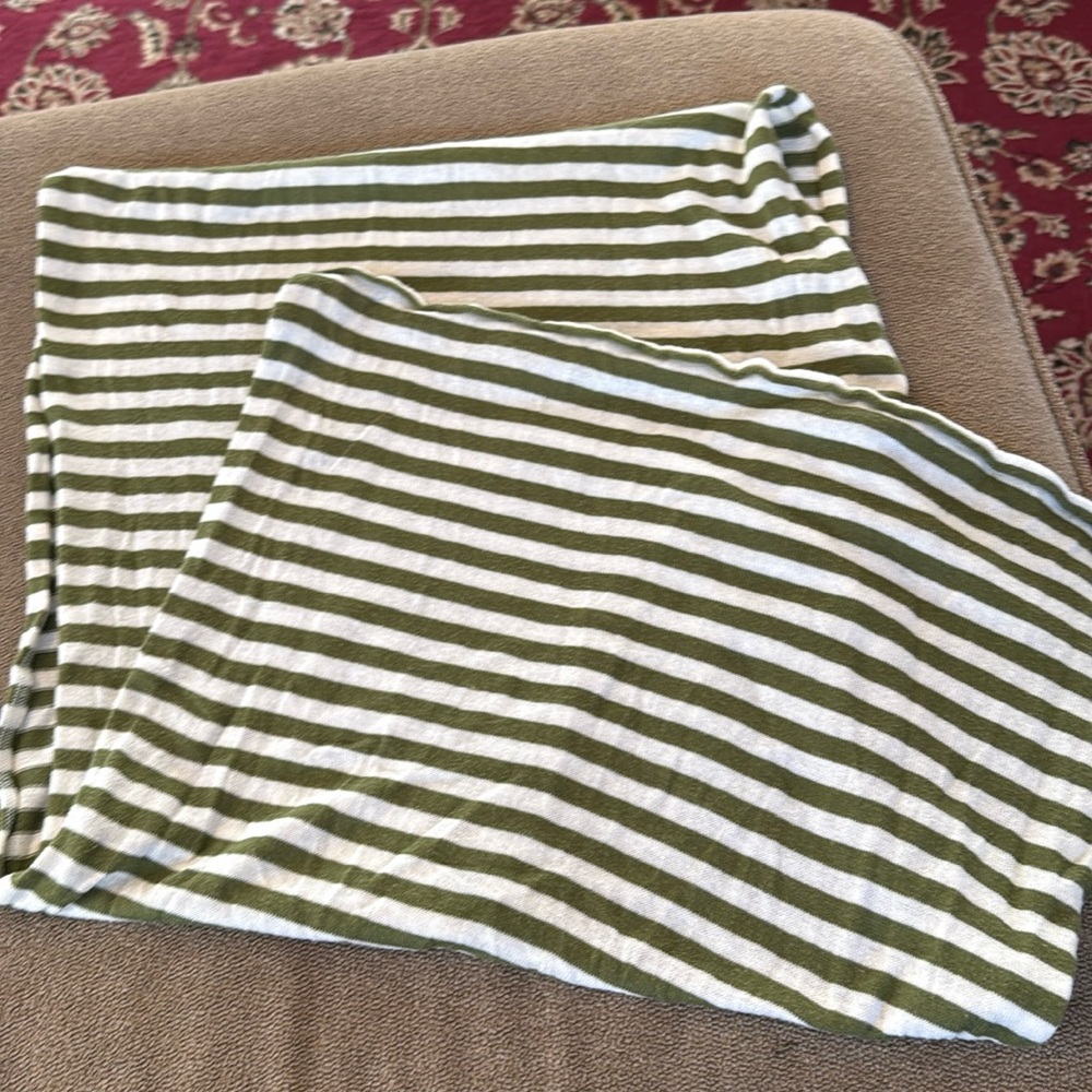 American Eagle Outfitters Infinity Scarf Green/Tan (TD)